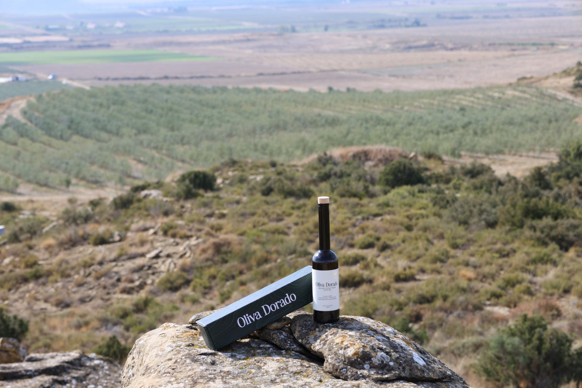 A bottle of Oliva Dorado olive oil on a rock above the family farm's olive groves