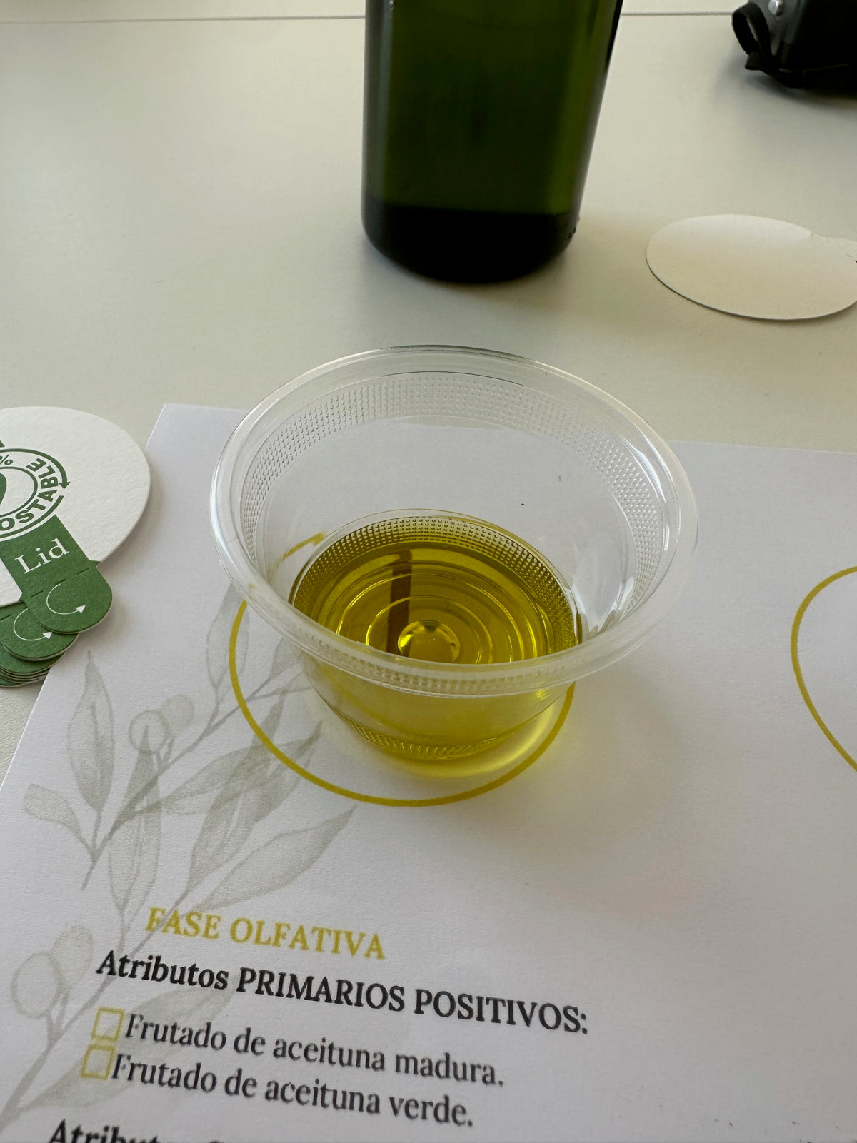 Cups of olive oil lined up for a tasting