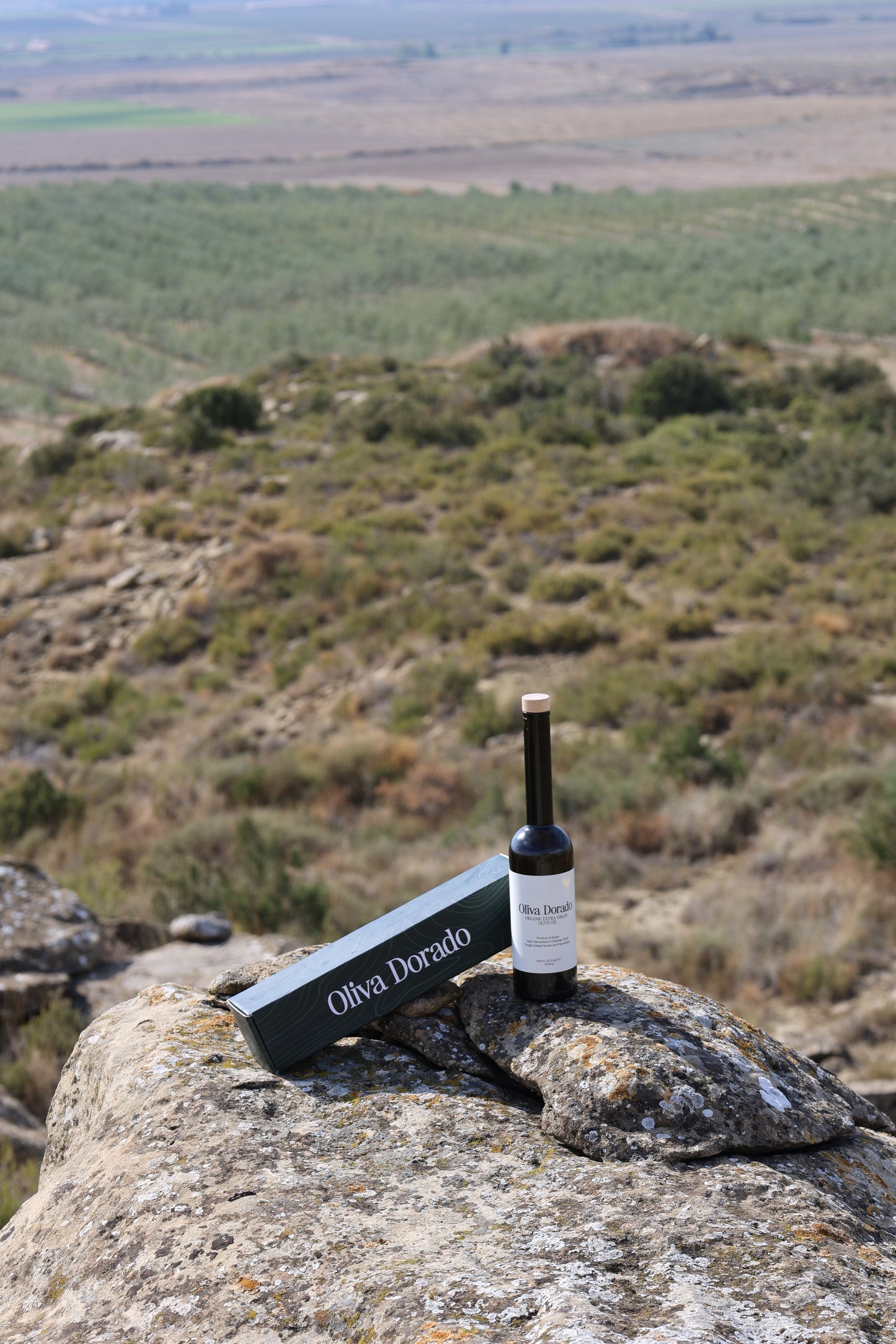 Organic Extra Virgin Olive Oil