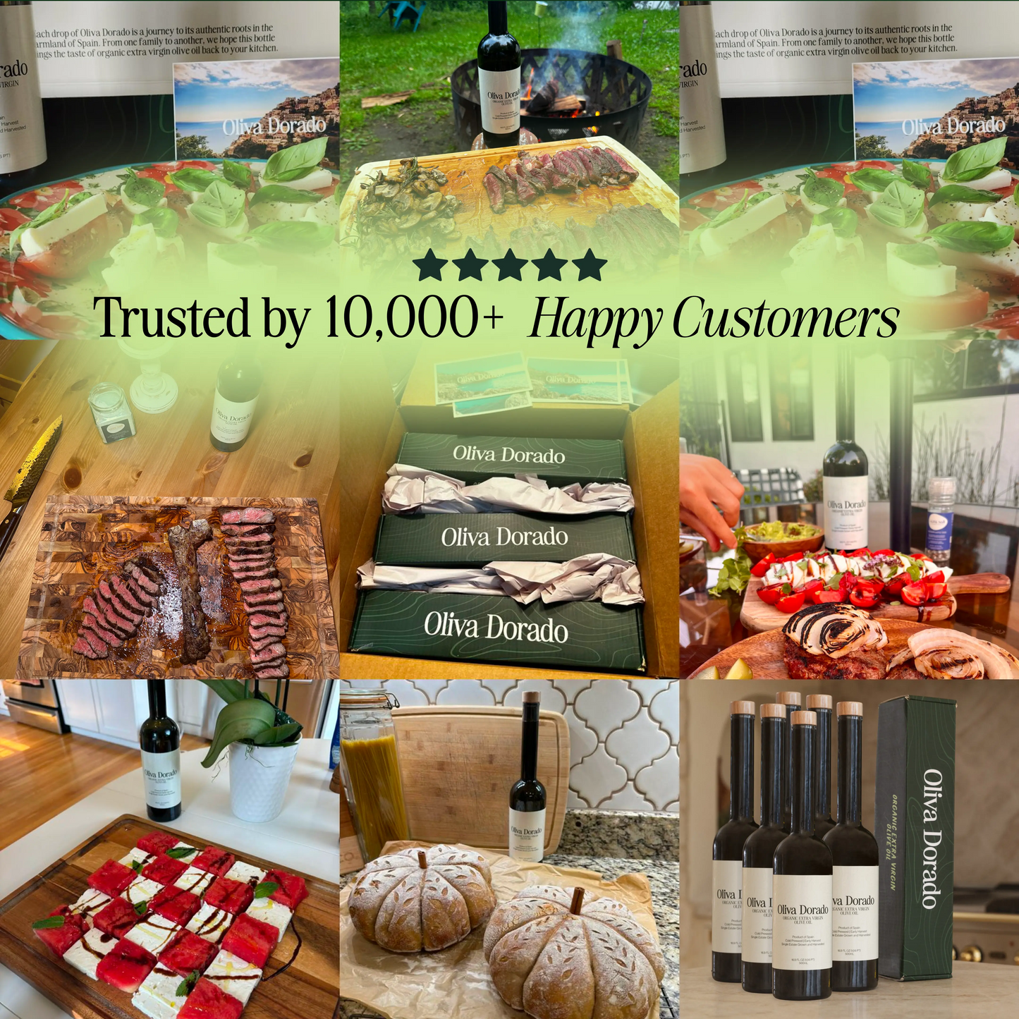 Organic Extra Virgin Olive Oil