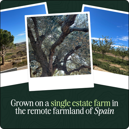 Organic Extra Virgin Olive Oil Subscription